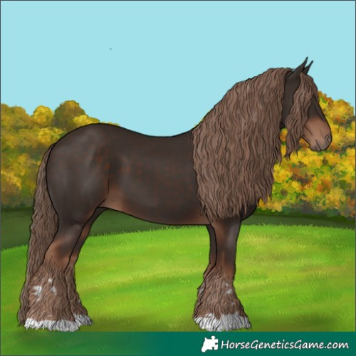 Horse Color:Liver Chestnut 