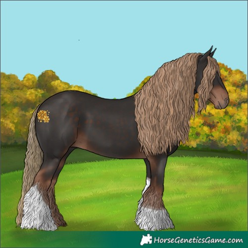 Horse Color:Liver Chestnut Tobiano 