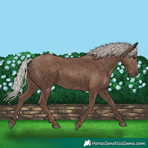 Horse Color:Silver Black 