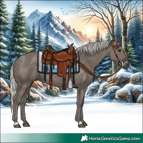 Horse Color:Silver Smoky Black 