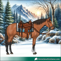 Horse Color:Bay Sabino 