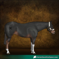 Horse Color:Liver Chestnut Tobiano 