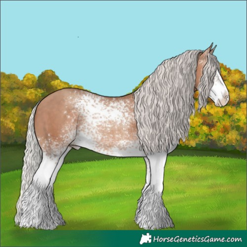 Horse Color:White Spotted Silver Sable Champagne Appaloosa