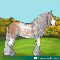 Horse Color:White Spotted Silver Sable Champagne Varnish