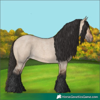 Horse Color:Bay Roan Dun 