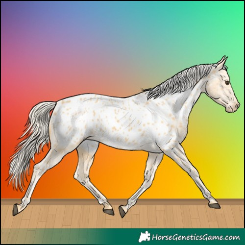 Horse Color:Palomino Near Leopard
