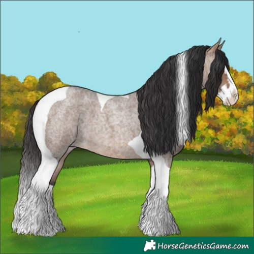 Horse Color:Bay Roan Dun Splash Tobiano