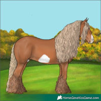 Horse Color:Chestnut Frame