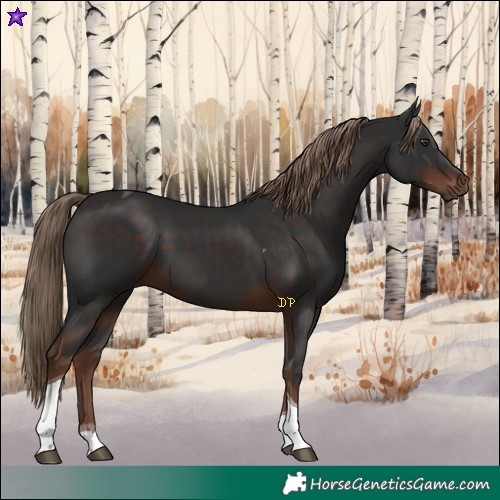 Horse Color:Liver Chestnut Tobiano 