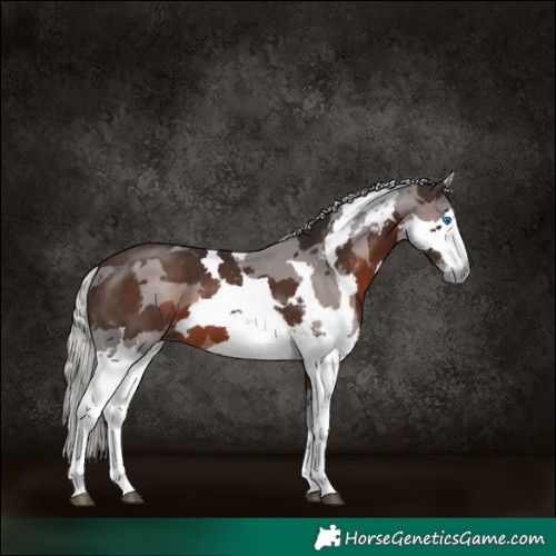 Horse Color:Silver Brown Mushroom Merle Tobiano 