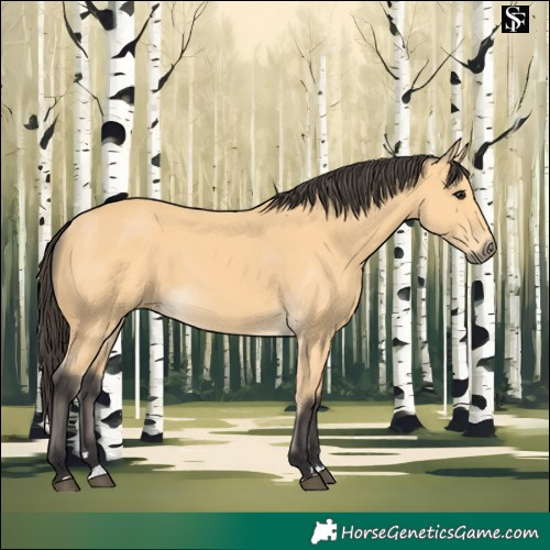 Horse Color:Buckskin 