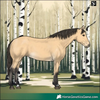 Horse Color:Buckskin