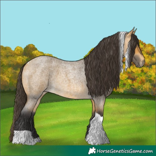 Horse Color:Buckskin Roan Tobiano