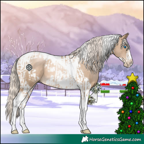 Horse Color:Chocolate Palomino Pearl Tobiano Frame  and Chocolate Palomino Pearl Tobiano Frame 