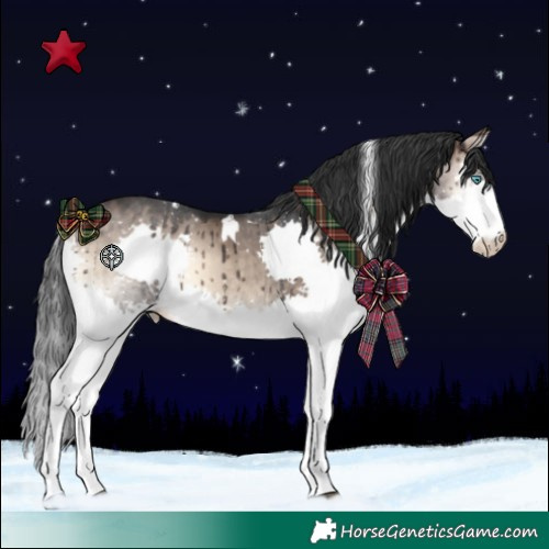 Horse Color:White Spotted Brown Onyx Splash Rabicano Brindle 