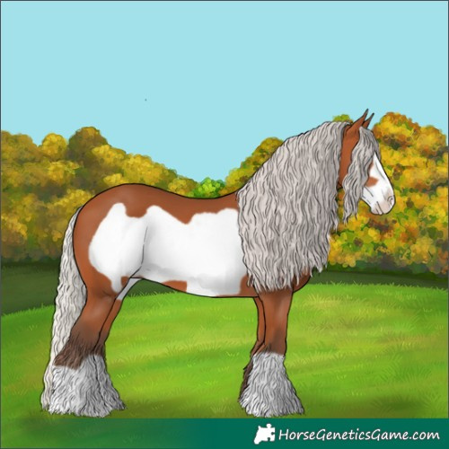 Horse Color:Silver Bay Frame