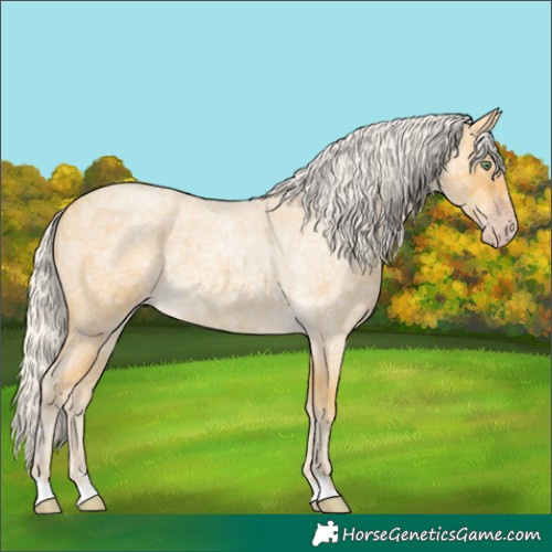 Horse Color:Silver Amber Cream Champagne Ice Roan Rabicano 