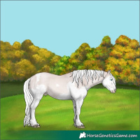 Horse Color:Gold Champagne Dun Mushroom Splash Tobiano Rabicano 