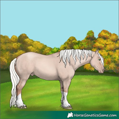 Horse Color:Gold Champagne Dun Mushroom Tobiano 