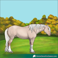 Horse Color:Gold Champagne Dun Mushroom Tobiano