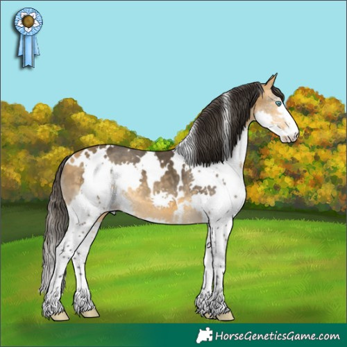 Horse Color:White Spotted Buckskin Splash 