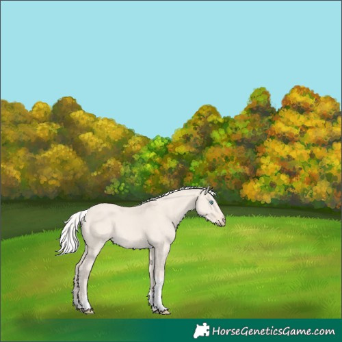 Horse Color:Silver Smoky Creme Dun Tobiano 