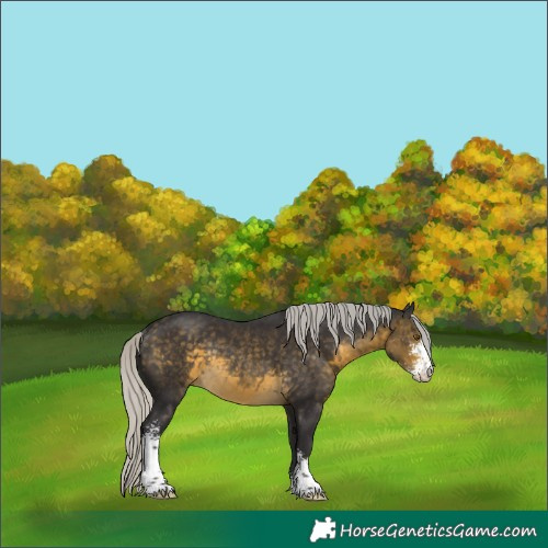 Horse Color:Silver Buckskin Sabino Rabicano 