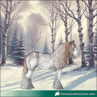 Horse Color:White Spotted Liver Chestnut Splash Appaloosa Rabicano 