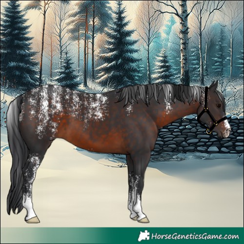 Horse Color:Powder White Brown 