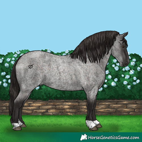 Horse Color:Liver Red Roan Tobiano 