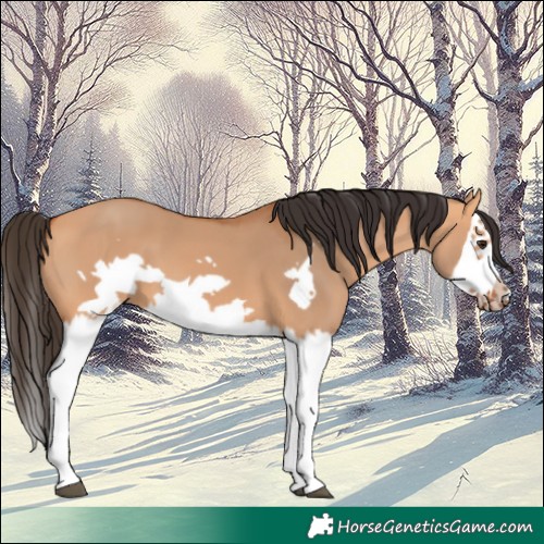 Horse Color:Bay Dun Splash Frame 