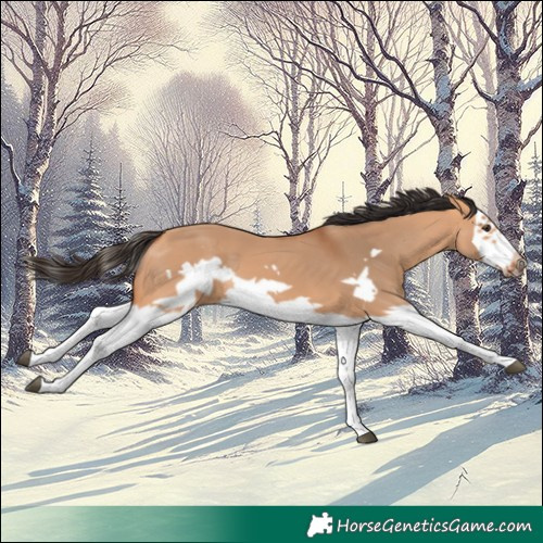 Horse Color:Bay Dun Splash Frame 