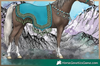 Horse Color:Silver Black 