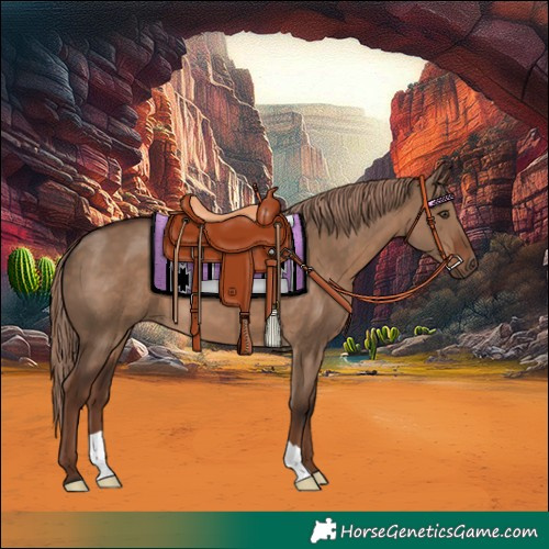 Horse Color:Liver Red Dun 