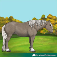 Horse Color:Silver Smoky Black 