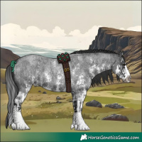 Horse Color:Blue Roan Sabino Splash and Blue Roan Sabino Splash