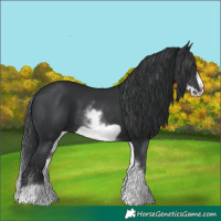 Horse Color:White Spotted Black Frame