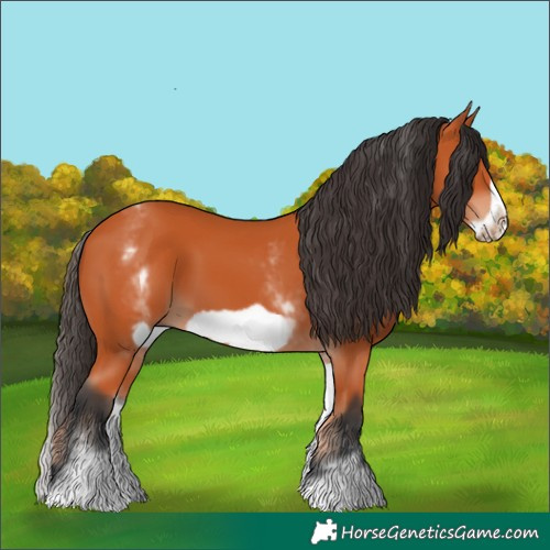 Horse Color:White Spotted Bay Frame 