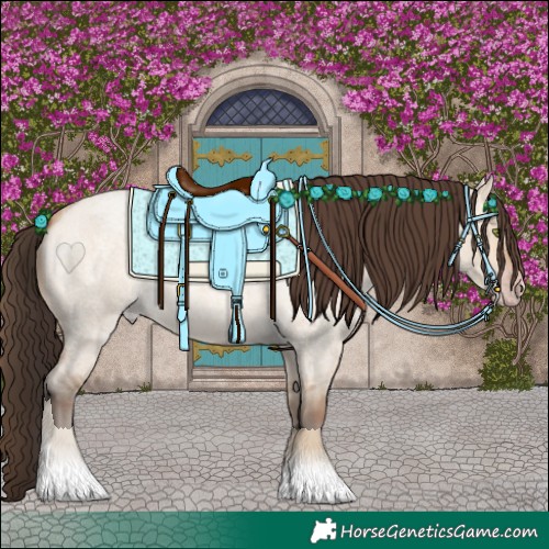 Horse Color:Amber Champagne Roan Dun