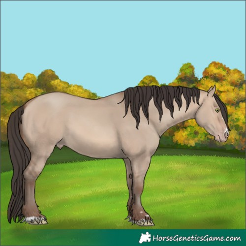 Horse Color:Sable Champagne Dun 