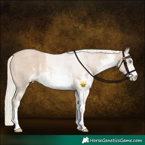 Horse Color:White Spotted Cremello Sabino 
