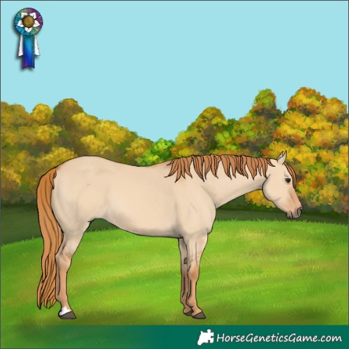 Horse Color:Red Dun 