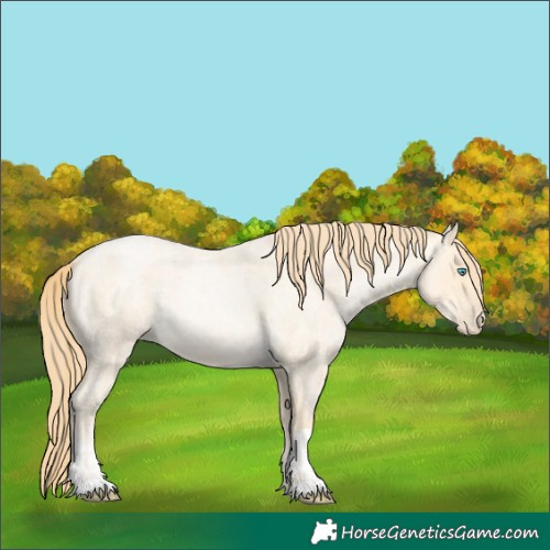 Horse Color:Buckskin Roan Pearl and Buckskin Roan Pearl