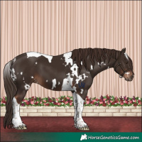 Horse Color:White Spotted Liver Chestnut Tobiano 