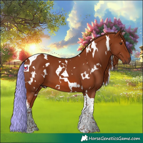 Horse Color:White Spotted Chestnut Tobiano 