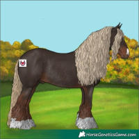 Horse Color:Liver Chestnut Rabicano