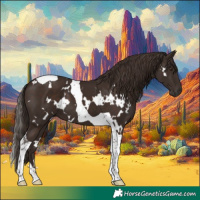 Horse Color:White Spotted Liver Chestnut Tobiano 