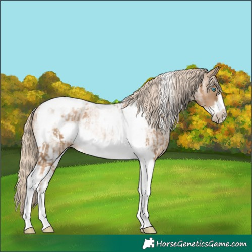 Horse Color:Chocolate Palomino Pearl Tobiano Frame and Chocolate Palomino Roan Pearl Tobiano Frame