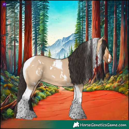 Horse Color:White Spotted Bay Dun Tobiano 