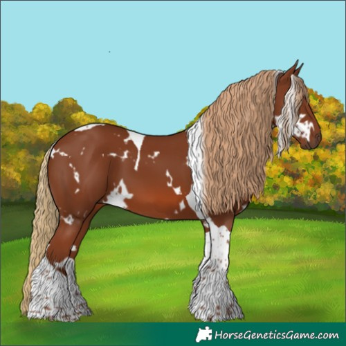 Horse Color:White Spotted Liver Chestnut Tobiano 